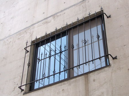 Window guard12