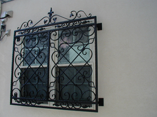 Window guard21