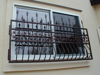 Window guard27
